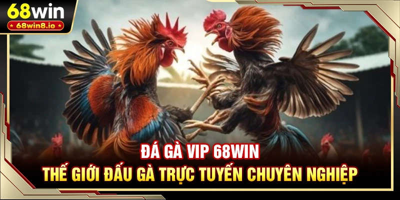 Đá Gà VIP 68WIN - Thế Giới Đấu Gà Trực Tuyến Chuyên Nghiệp