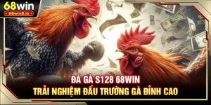 Đá Gà S128 68WIN - Trải Nghiệm Đấu Trường Gà Đỉnh Cao
