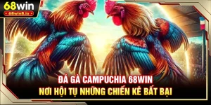 Đá Gà Campuchia 68WIN - Nơi Hội Tụ Những Chiến Kê Bất Bại