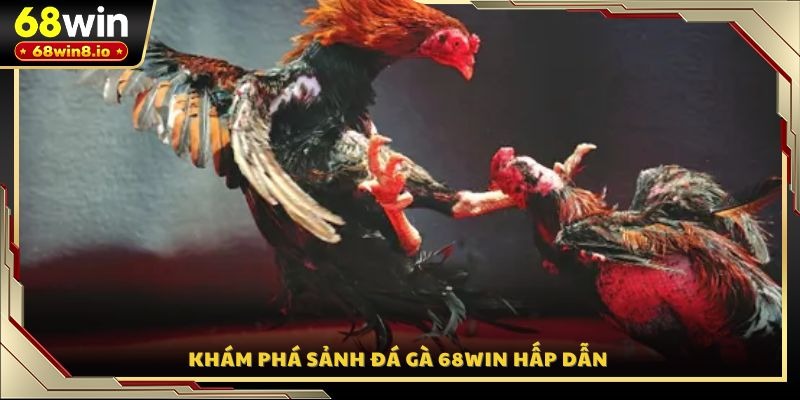 Khám phá sảnh đá gà 68WIN hấp dẫn
