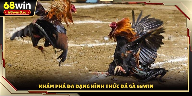 Khám phá đa dạng hình thức đá gà 68WIN