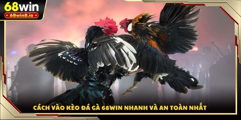 Cách vào kèo đá gà 68WIN nhanh và an toàn nhất