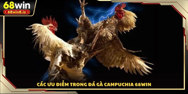 Các ưu điểm trong đá gà Campuchia 68WIN