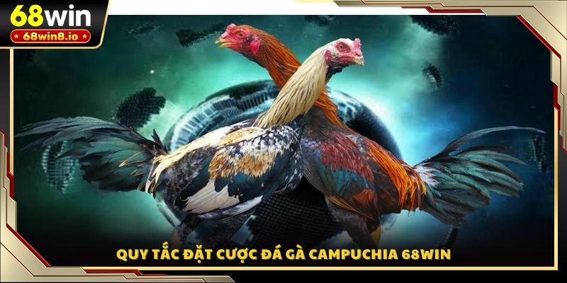 Quy tắc đặt cược đá gà Campuchia 68WIN