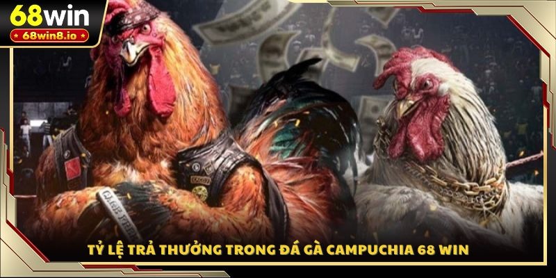 Tỷ lệ trả thưởng trong đá gà Campuchia 68 WIN