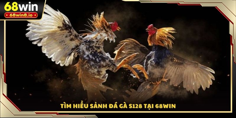 Tìm hiểu sảnh đá gà S128 tại 68WIN