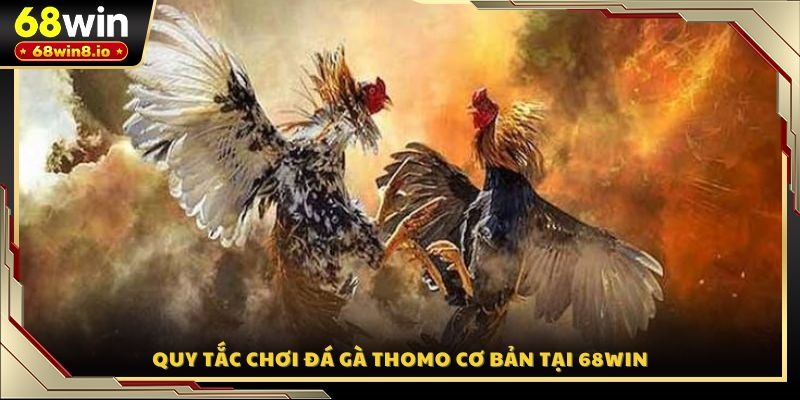 Quy tắc chơi đá gà Thomo cơ bản tại 68WIN