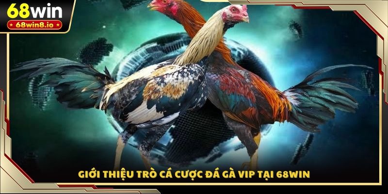 Giới thiệu trò cá cược đá gà VIP tại 68WIN
