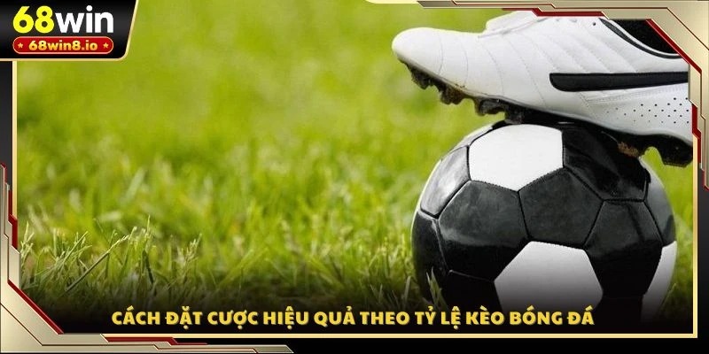 Cách đặt cược hiệu quả theo tỷ lệ kèo bóng đá